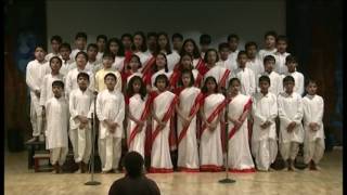 The Orchid School Video
