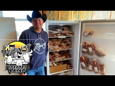 Buying a Whole Cow - Freezer Beef - Questions answered!