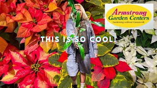 Cool Plant Finds at Armstrong Garden Center