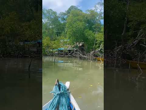 SÃO CAETANO DE ODIVELAS