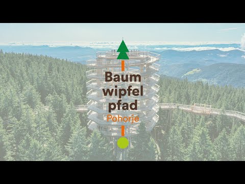Baumwipfelpfad Pohorje - Pot med krošnjami Pohorje