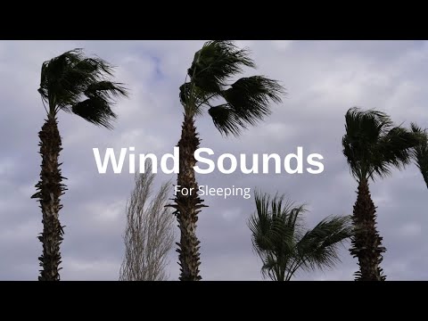 Wind sounds - Wind sound for sleeping, insomnia, relaxing, study