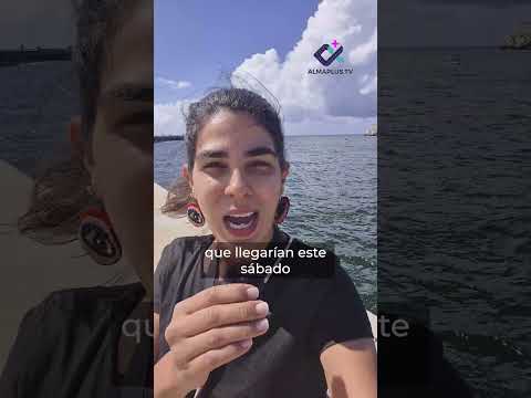 Veleros del convoy "Nuestra América" llegan a La Habana tras días sin comunicación