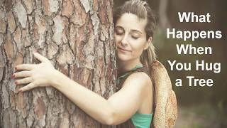 What Happens When You Hug a Tree