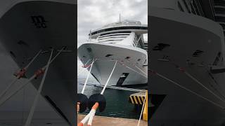 😱SHIP DOCKING IN THE PORT #viewersloverviews #cruiseship #shorts #viral #trending #cruise