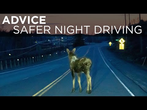 3 ways to make night driving safer and more comfortable | Advice | Driving.ca