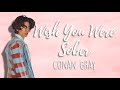 Conan Gray - Wish You Were Sober | LYRICS Conan Gray - Wish You Were Sober | LYRICS