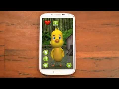 Talking Chicken Video