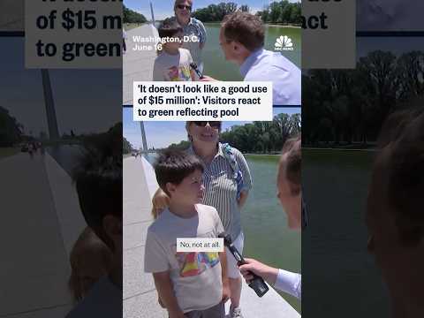 Visitors react to green reflecting pool