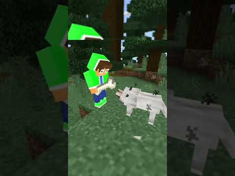 Minecraft: Taming a dog be like🐕😆 - OpenZane