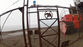 Download lagu GoProAlaska - Prudhoe Bay Fun Facts mp3 Download lagu GoProAlaska - Prudhoe Bay Fun Facts mp3