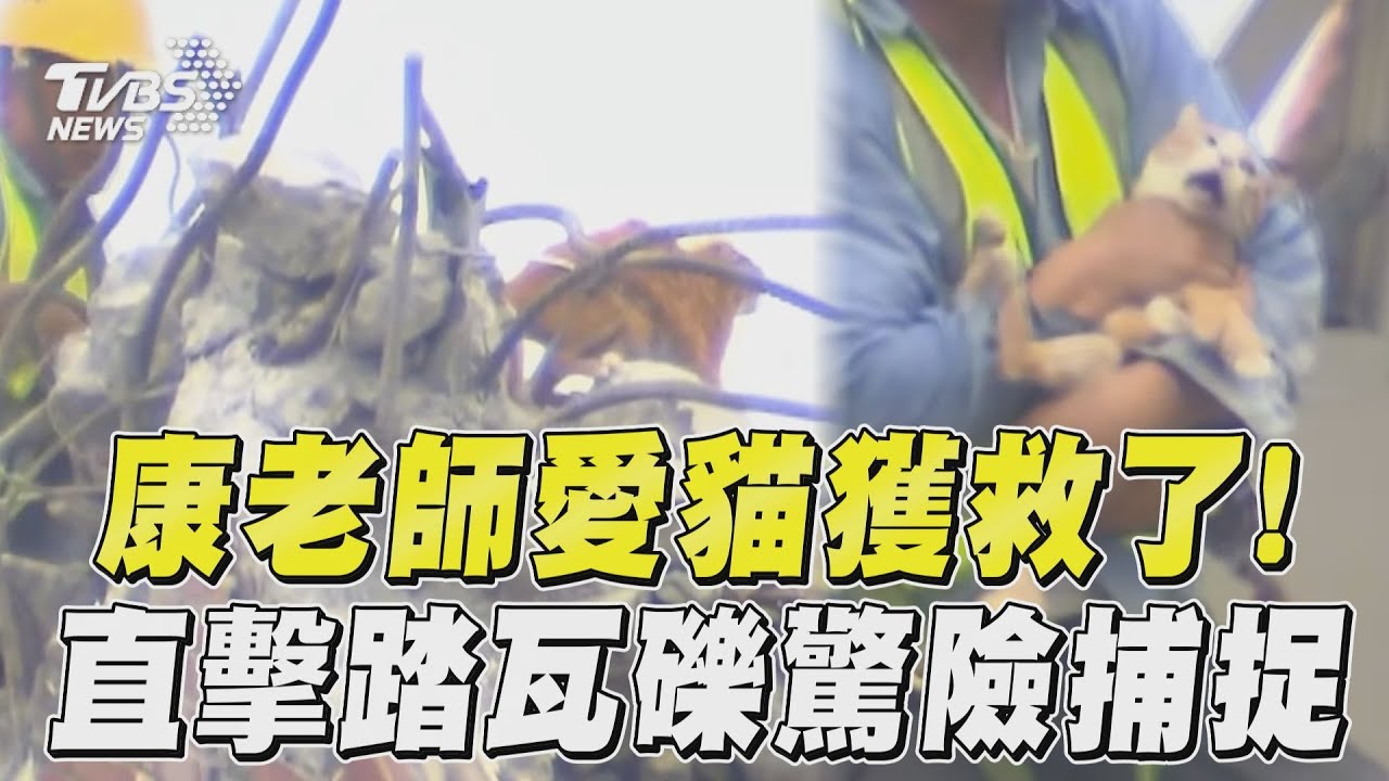 花蓮地震/康老師貓咪抓到了 累癱在工作人員懷中平安救出