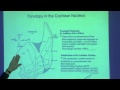 Lec 17: Cochlear nucleus: Tonotopy, unit types and cell types