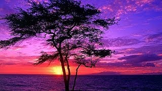 THE FIRST TIME I LOVED FOREVER - (Lyrics)