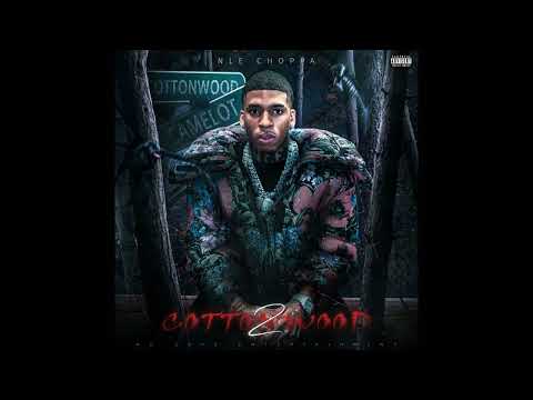 [FREE] NLE Choppa Type Beat x DaBaby Type Beat 2023 - "Drop" (prod. by Flexus)