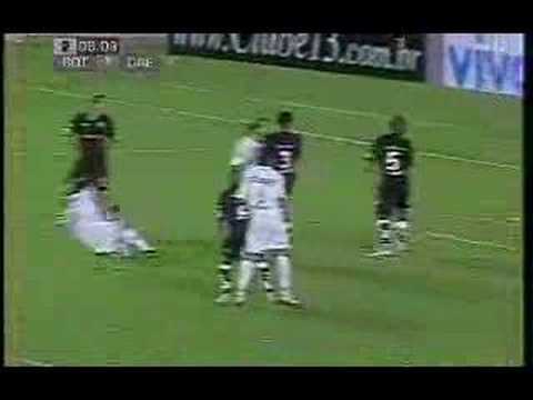 Botafogo 2x1 São Caetano BR06 MELHORES MOMENTOS