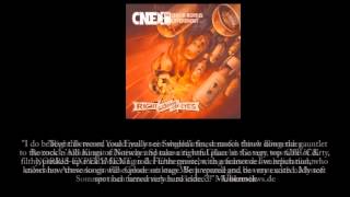 Chuck Norris Experiment - Right Between The Eyes [Album Sampler 2014]