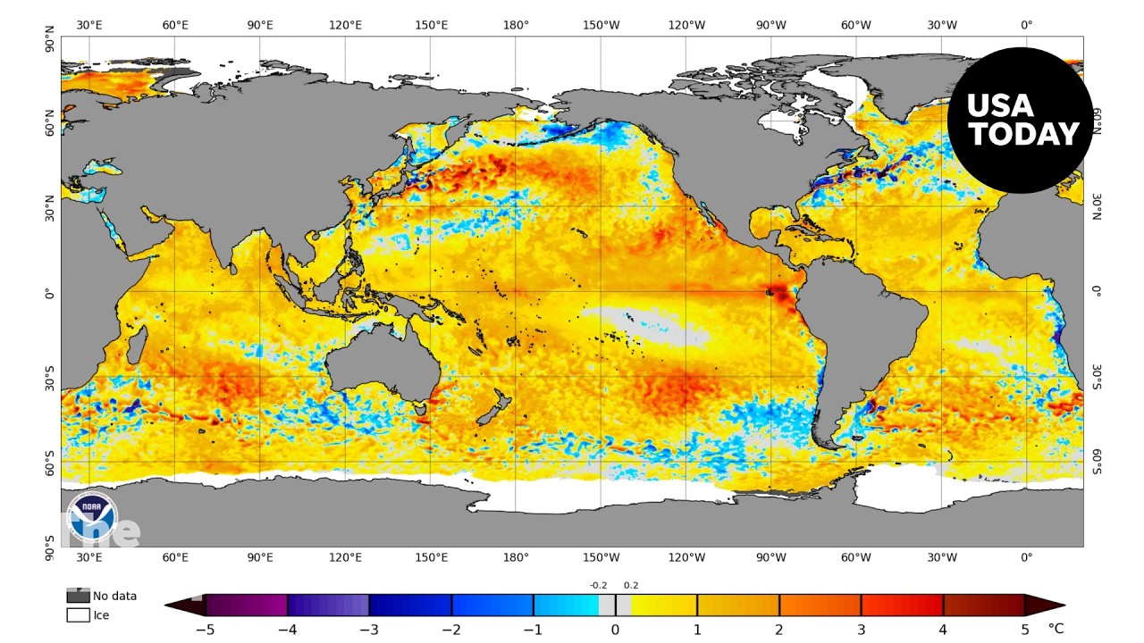 Is El Niño about to reshape the Pacific again? | The Excerpt