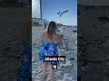 Atlantic City Beach Feeding Seagulls