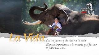 Episodio II de Poesía sin Fronteras II: La Vida