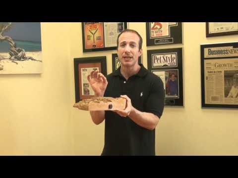 Exo Terra Turtle Banks Creates an Amazing Turtle Basking Platform