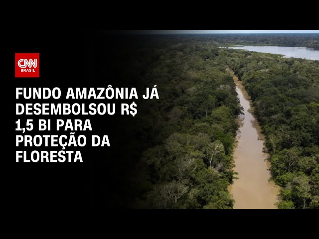 Fundo amazônia já desembolsou R$ 1,5 bi para proteção da floresta | CNN PRIME TIME