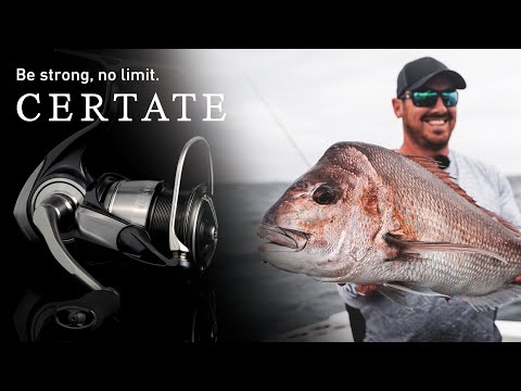 FC LT 2000S-P 170 грамм