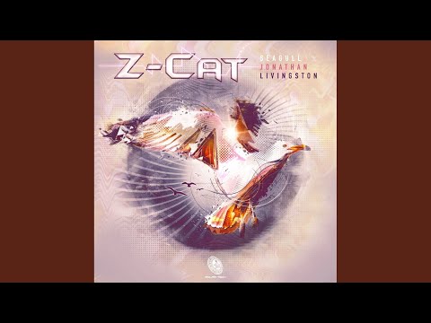 Seagull Jonathan Livingston