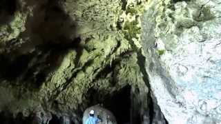 preview picture of video 'Puerto Rico: Camuy River Cave Park - Bat Travel'