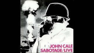 John Cale Evidence