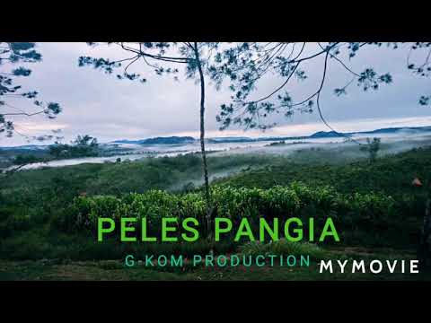 PELES PANGIA(2021 PNG OFFICAL MUSIC)BY SMARTEN X CHARLEE MAN