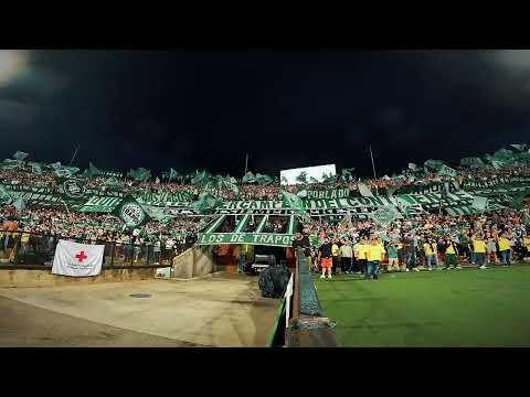 Mix Los Del Sur 🎵🎶 | Atl Nacional vs Equidad 19/07/2025