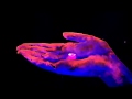ZHU- Paradise Awaits (Official Video) 