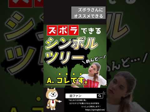 手入れが簡単な庭のための 2 つのアイデア トピックス