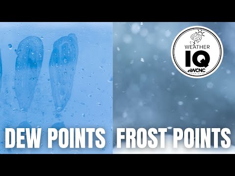 image-What weather is frost?