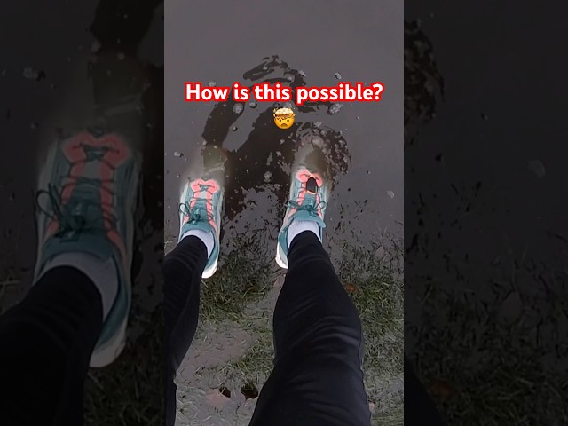 Vídeo relacionado con Nike FQ0912-001 Nike Pegasus Trail 5 Gore-Tex Mujer Black/Wolf Grey-Cool Grey-Anthracite EU 40