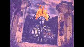 Nancial - Painful Tears ( Vocal Cover )