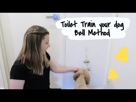 How to Potty Train your Puppy 🐶🔔 | BELL METHOD