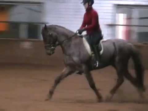 Vitalis kurz nach dem Kauf