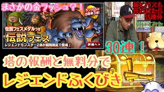 DQMSL 伝説フェス30連を含む計55連のふくびきを一気に引いてみた！の巻！ アッポロ的実況プレイ記録073