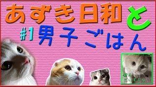 【　料理　】　あずき日和と男子ごはん part1! 【 実況 】(時短簡単もやしナムル！)