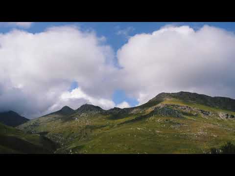 Mountain Breeze