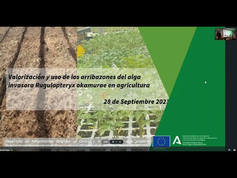 Fotograma del vídeo: Valorización y uso de los arribazones del alga invasora R. okamurae en agricultura. Webinar28Sep2023