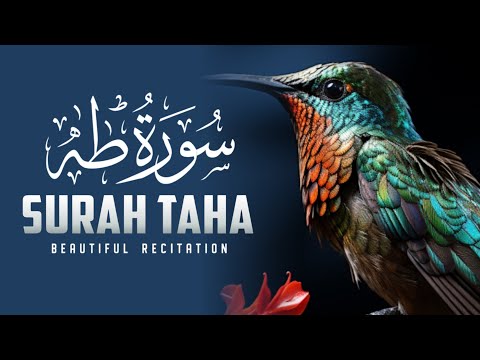 Surah Taha | By Ibn Bashiir | With Arabic Text & Translation |