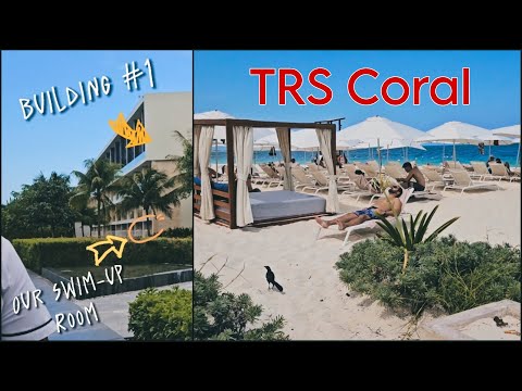 Videos del Trs Coral 5★ en Cancún, MéxicoVerPrecios20CerrarConsulta por Whatsapp 🇦🇷BookingTripadvisorExpediaAgodaTravelocityOrbitzPricelineTripSkyscannerDespegarKayakHotelesBestdayDestiniaTrivagoTurismocityLastminuteHotwireTuiWotif
