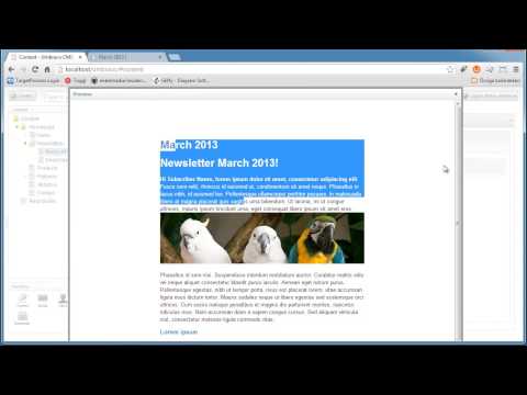 Newsletter Studio - Send from the content section