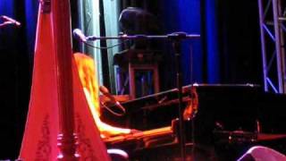 Joanna Newsom - Does Not Suffice (live)