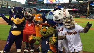 Fans, mascots celebrate Astros' Orbit's birthday