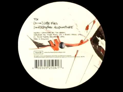Tim Green (TG) - Little Flies