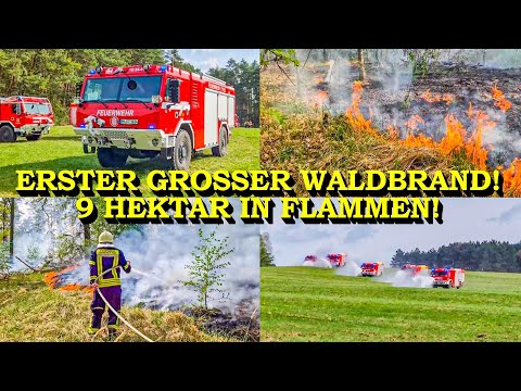 +++ ERSTER GROSSER WALDBRAND +++ 9 HEKTAR WALD IN FLAMMEN | FEUERWEHR | GROSSEINSATZ | WALDBRAND-TLF